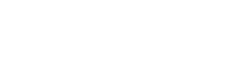 CTRL Systems bar logo — white knockout